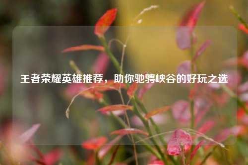 王者荣耀英雄推荐，助你驰骋峡谷的好玩之选