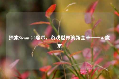 探索Steam 2.0魔术，游戏世界的新变革——stc魔术