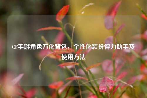 CF手游角色万化背包，个性化装扮得力助手及使用方法