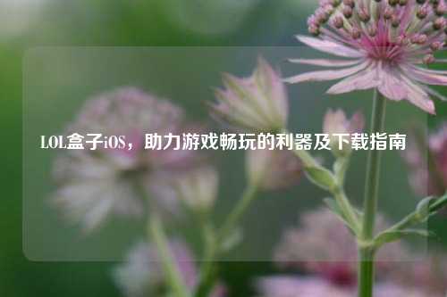 LOL盒子iOS，助力游戏畅玩的利器及下载指南