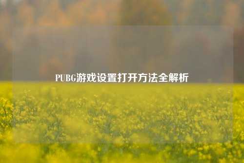 PUBG游戏设置打开方法全解析