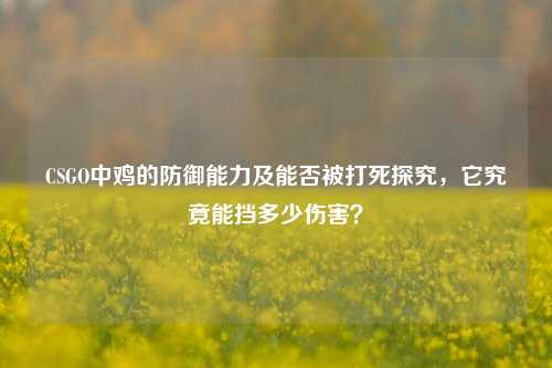CSGO中鸡的防御能力及能否被打死探究，它究竟能挡多少伤害？