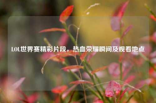 LOL世界赛精彩片段，热血荣耀瞬间及观看地点
