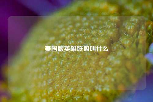 美国版英雄联盟叫什么