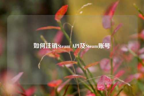 如何注销Steam API及Steam账号