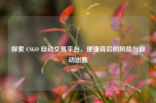 探索 CSGO 自动交易平台，便捷背后的风险与自动出售