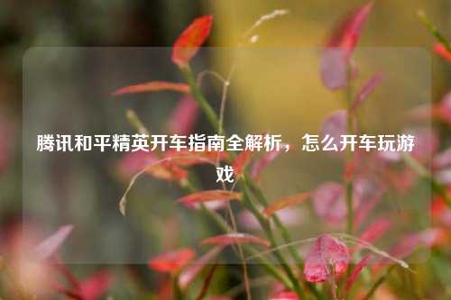 腾讯和平精英开车指南全解析，怎么开车玩游戏