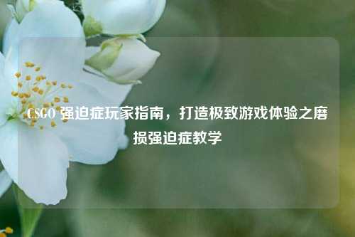 CSGO 强迫症玩家指南，打造极致游戏体验之磨损强迫症教学