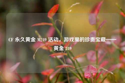 CF 永久黄金 M249 活动，游戏里的珍贵宝藏——黄金 249