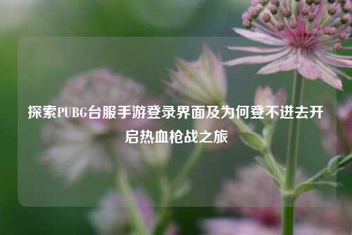 探索PUBG台服手游登录界面及为何登不进去开启热血枪战之旅
