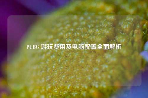PUBG 游玩费用及电脑配置全面解析