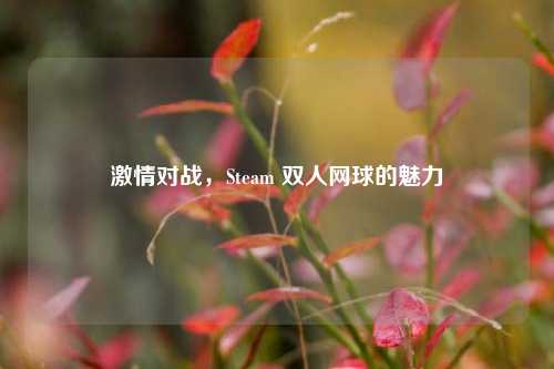 激情对战，Steam 双人网球的魅力