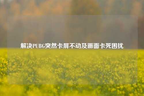解决PUBG突然卡屏不动及画面卡死困扰