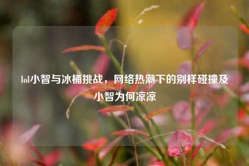 lol小智与冰桶挑战，网络热潮下的别样碰撞及小智为何凉凉
