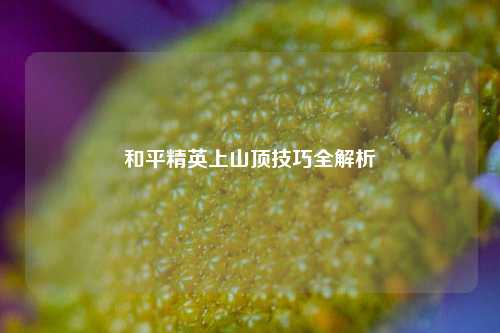 和平精英上山顶技巧全解析