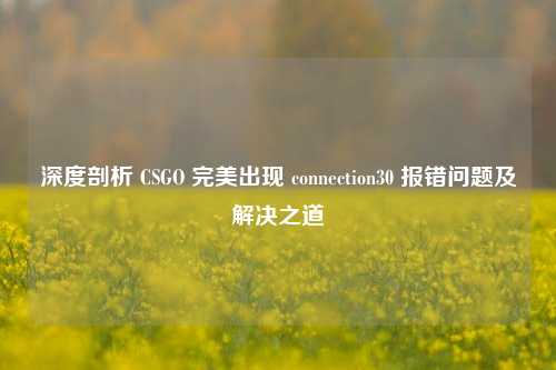 深度剖析 CSGO 完美出现 connection30 报错问题及解决之道