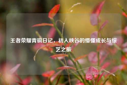 王者荣耀青铜日记，初入峡谷的懵懂成长与综艺之旅