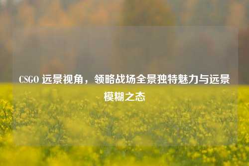 CSGO 远景视角，领略战场全景独特魅力与远景模糊之态