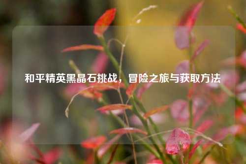 和平精英黑晶石挑战，冒险之旅与获取方法