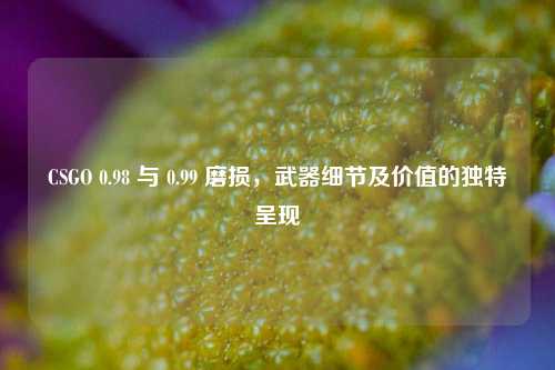 CSGO 0.98 与 0.99 磨损，武器细节及价值的独特呈现