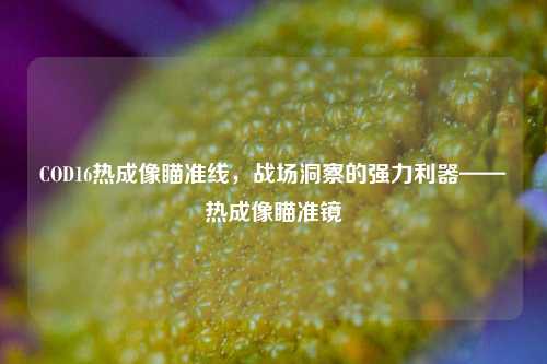 COD16热成像瞄准线，战场洞察的强力利器——热成像瞄准镜