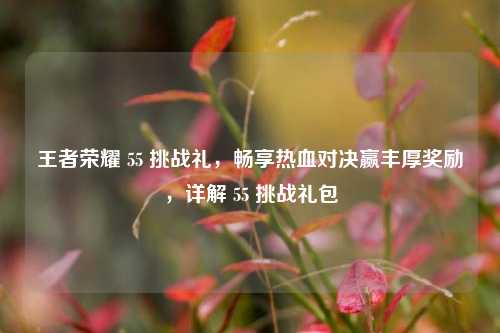 王者荣耀 55 挑战礼，畅享热血对决赢丰厚奖励，详解 55 挑战礼包