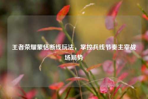 王者荣耀蒙恬断线玩法，掌控兵线节奏主宰战场局势