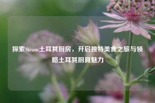 探索Steam土耳其厨房，开启独特美食之旅与领略土耳其厨具魅力