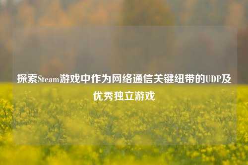 探索Steam游戏中作为网络通信关键纽带的UDP及优秀独立游戏