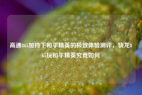 高通865加持下和平精英的极致体验测评，骁龙865玩和平精英究竟如何