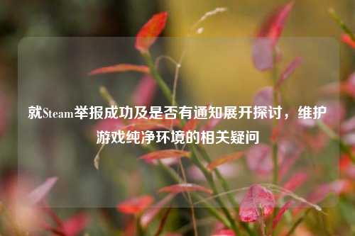 就Steam举报成功及是否有通知展开探讨，维护游戏纯净环境的相关疑问