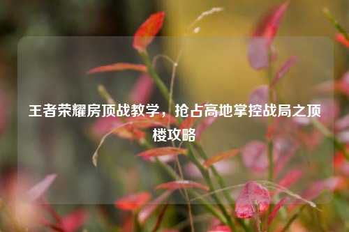 王者荣耀房顶战教学，抢占高地掌控战局之顶楼攻略