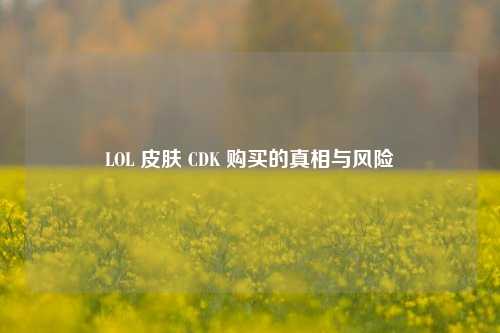 LOL 皮肤 CDK 购买的真相与风险