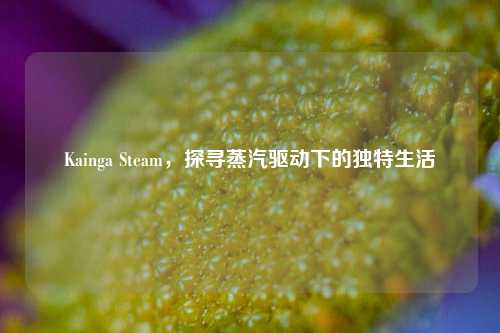 Kainga Steam，探寻蒸汽驱动下的独特生活