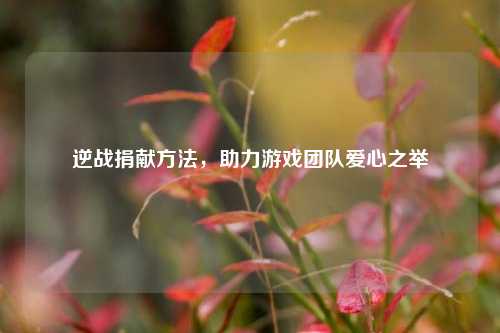 逆战捐献方法，助力游戏团队爱心之举