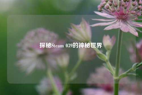 探秘Steam 039的神秘世界