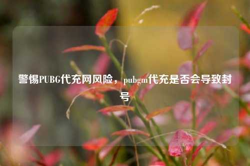警惕PUBG代充网风险，pubgm代充是否会导致封号