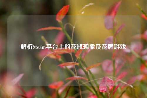 解析Steam平台上的花瓶现象及花牌游戏