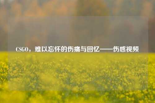 CSGO，难以忘怀的伤痛与回忆——伤感视频