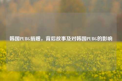 韩国PUBG捐赠，背后故事及对韩国PUBG的影响