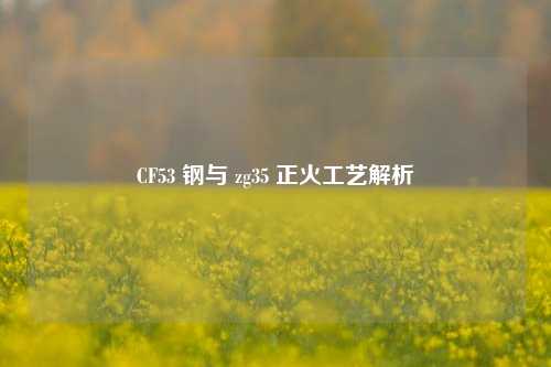CF53 钢与 zg35 正火工艺解析