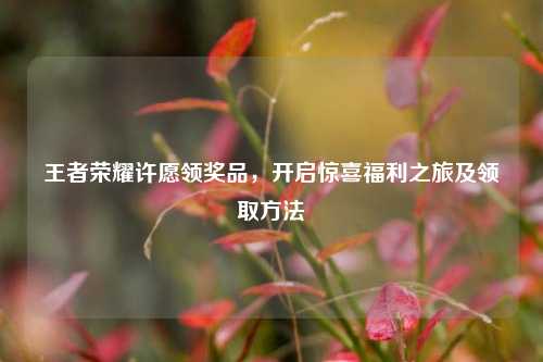 王者荣耀许愿领奖品，开启惊喜福利之旅及领取方法