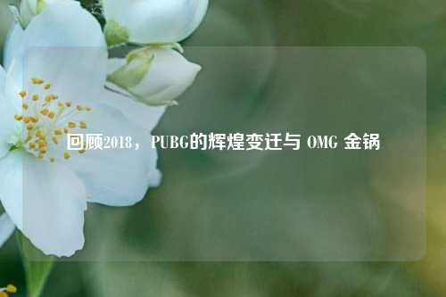 回顾2018，PUBG的辉煌变迁与 OMG 金锅