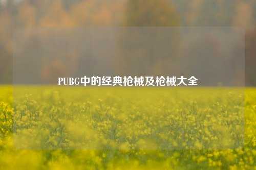 PUBG中的经典枪械及枪械大全