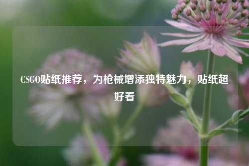 CSGO贴纸推荐，为枪械增添独特魅力，贴纸超好看