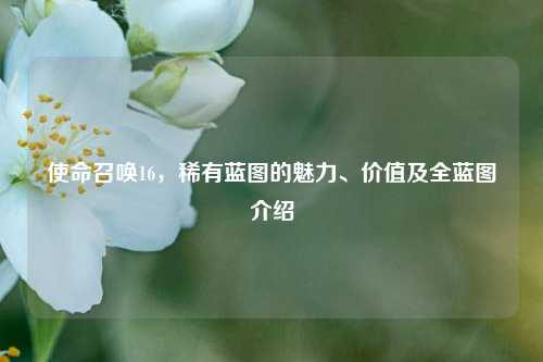 使命召唤16，稀有蓝图的魅力、价值及全蓝图介绍