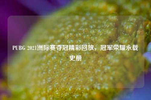 PUBG 2021洲际赛夺冠精彩回放，冠军荣耀永载史册