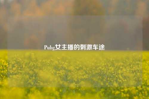 Pubg女主播的刺激车途