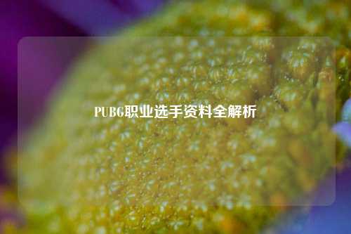 PUBG职业选手资料全解析