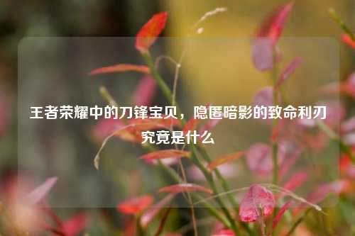 王者荣耀中的刀锋宝贝，隐匿暗影的致命利刃究竟是什么
